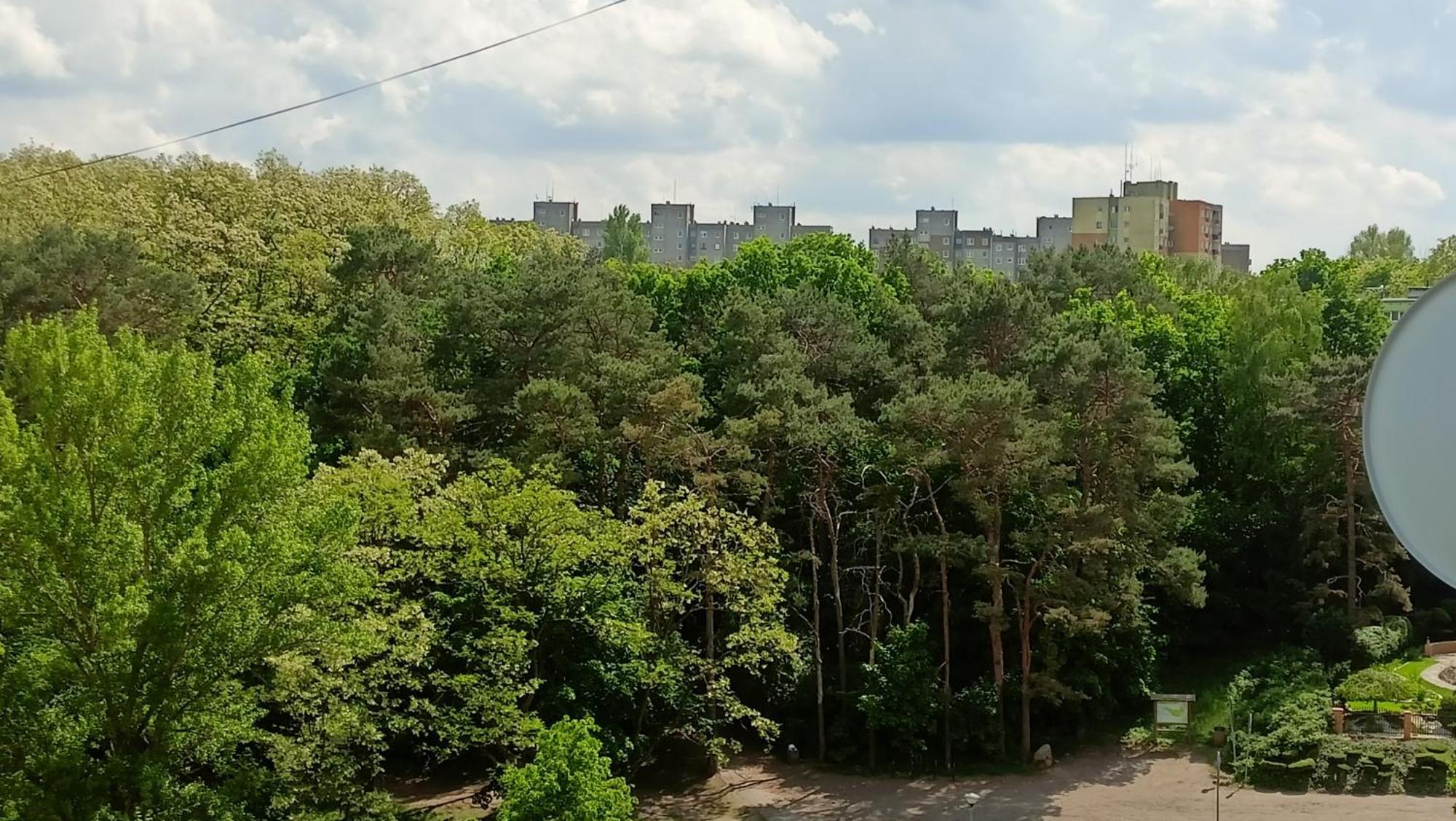 Drzewna Apartamenty - Wladyslawa 锡隆纳葛拉 外观 照片