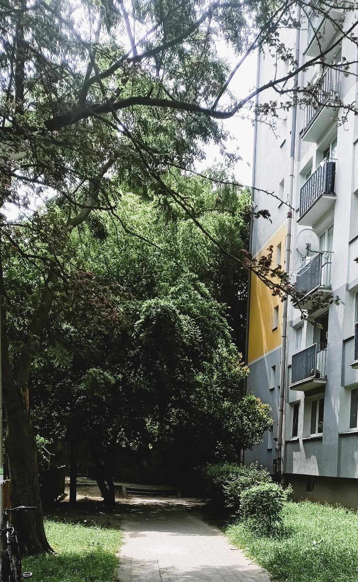 Drzewna Apartamenty - Wladyslawa 锡隆纳葛拉 外观 照片